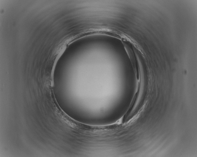 X0000073730985200608171224