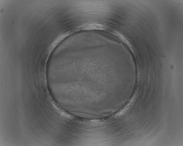 X0000073730986200608171224