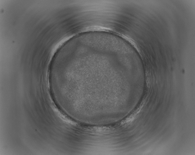 X0000073730987200608171224