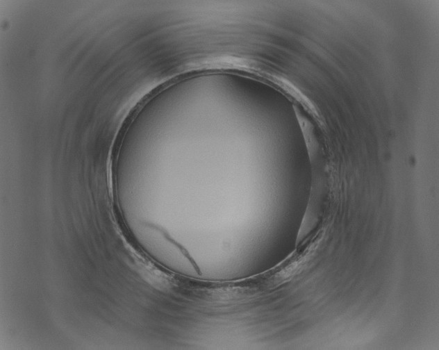 X0000073730988200608171224