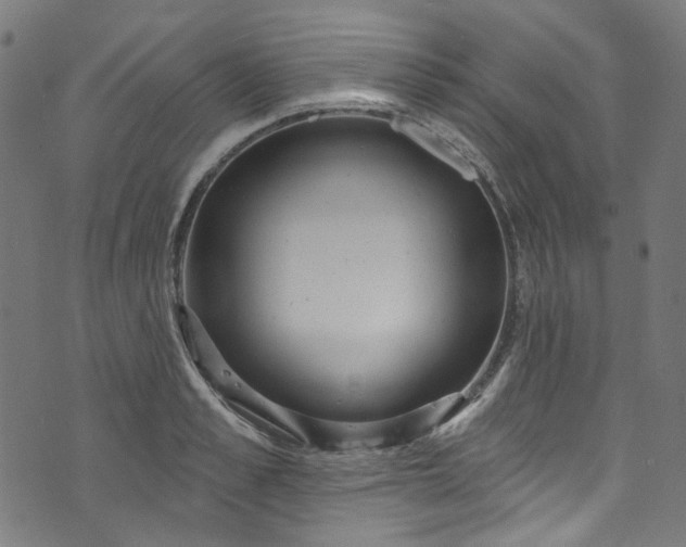 X0000073730989200608171224