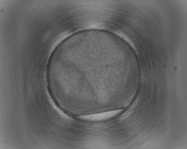 X0000073730991200608171224