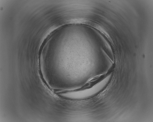 X0000073730992200608171224