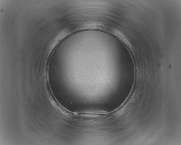 X0000073730994200608171224