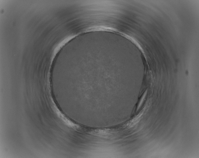 X0000073730995200608171224