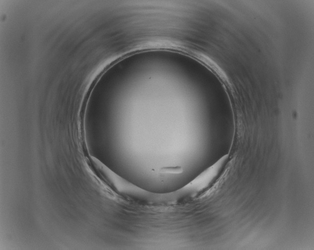 X0000073730996200608171224