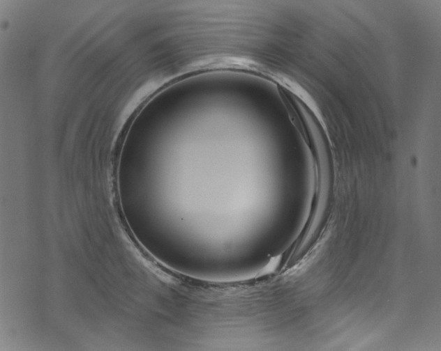 X0000073730997200608171224