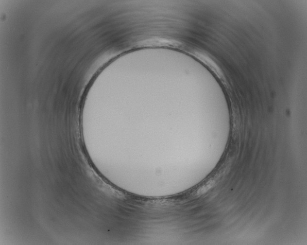 X0000073731000200608171224