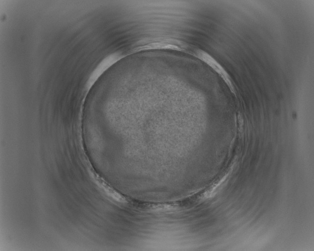 X0000073731002200608171224