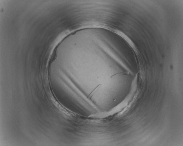 X0000073731004200608171224