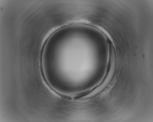 X0000073731005200608171224