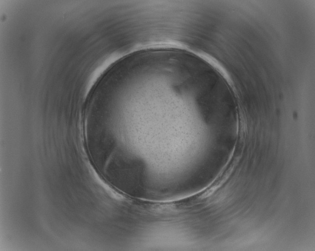 X0000073731006200608171224