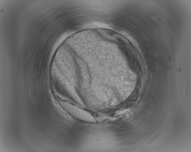 X0000073731008200608171224