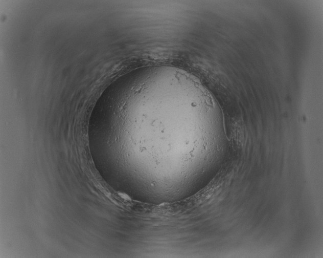 X0000073731009200608171223