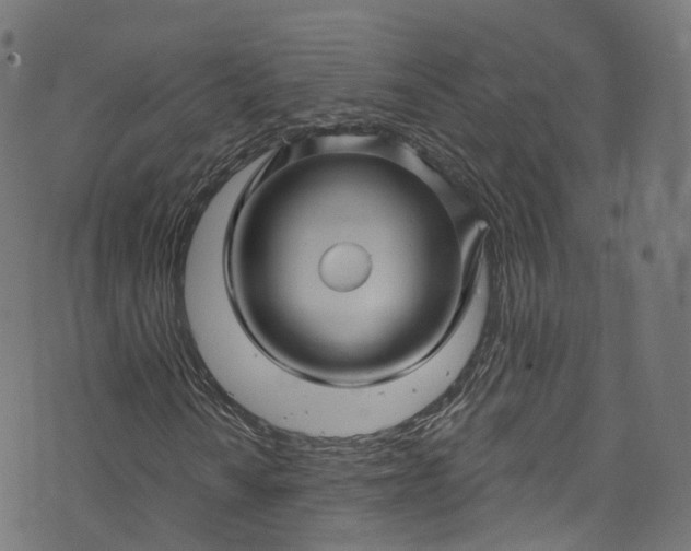 X0000073731010200608171223