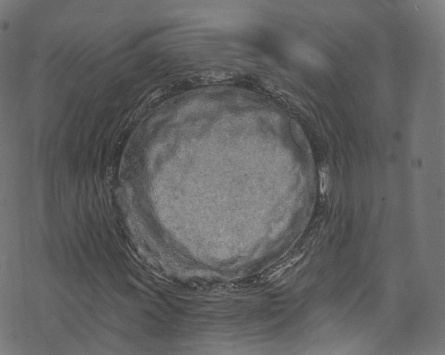 X0000073731011200608171223