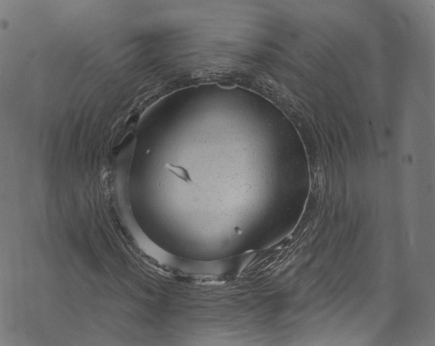 X0000073731012200608171223