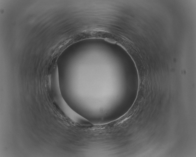 X0000073731014200608171223