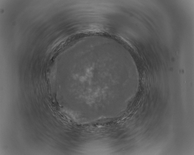 X0000073731015200608171223