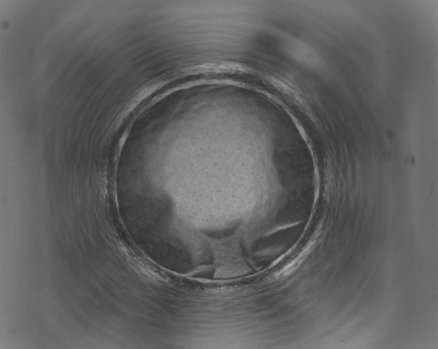 X0000073731017200608171223