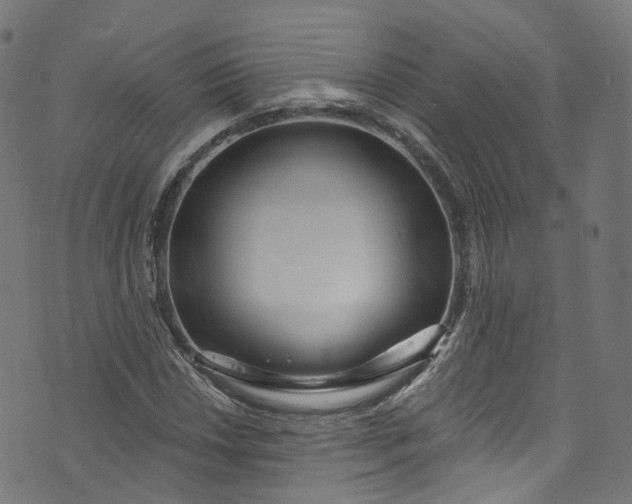 X0000073731018200608171223