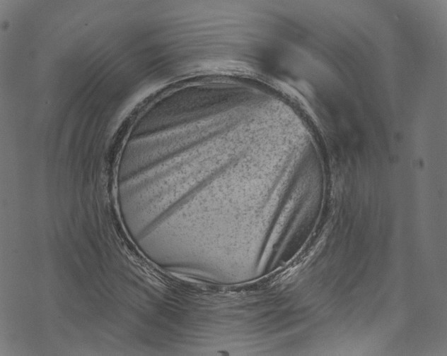 X0000073731019200608171223