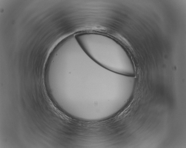 X0000073731020200608171223