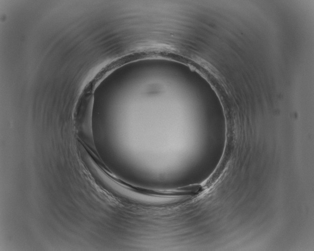 X0000073731022200608171223