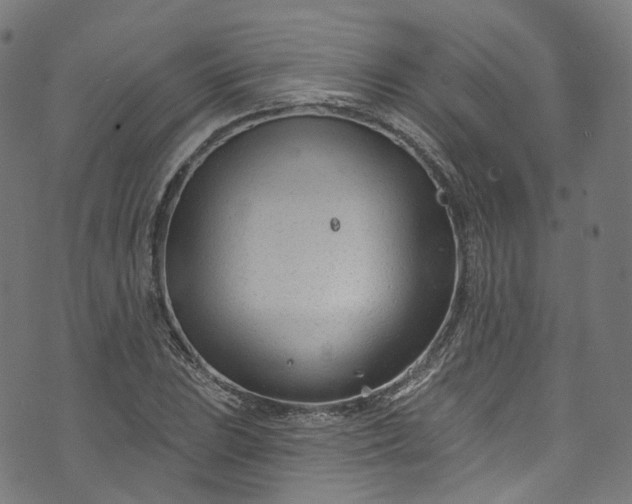 X0000073731023200608171223