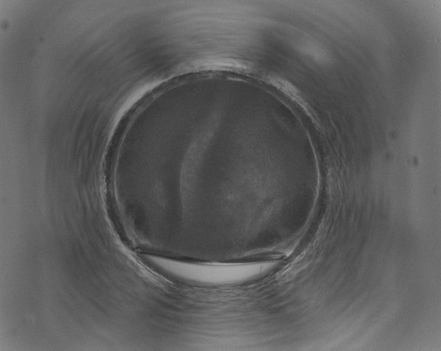 X0000073731024200608171223