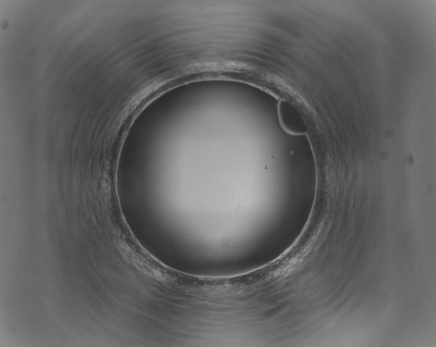 X0000073731025200608171223