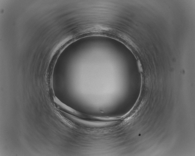 X0000073731026200608171223