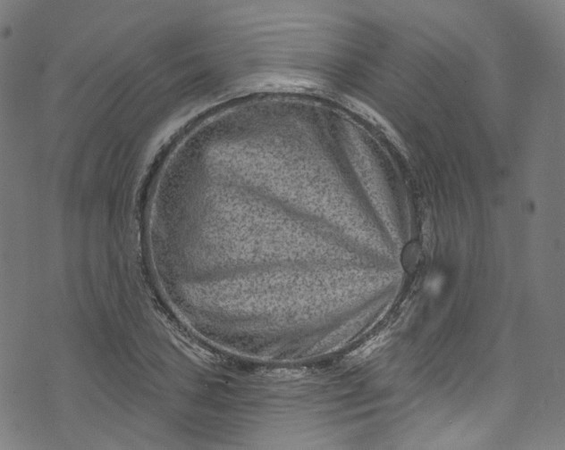 X0000073731027200608171223