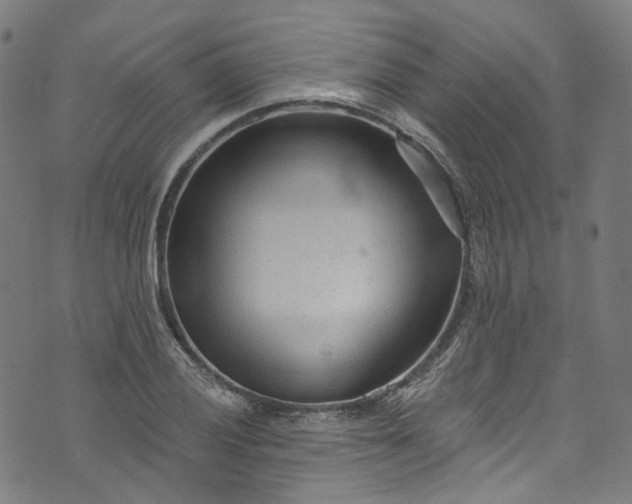 X0000073731028200608171223