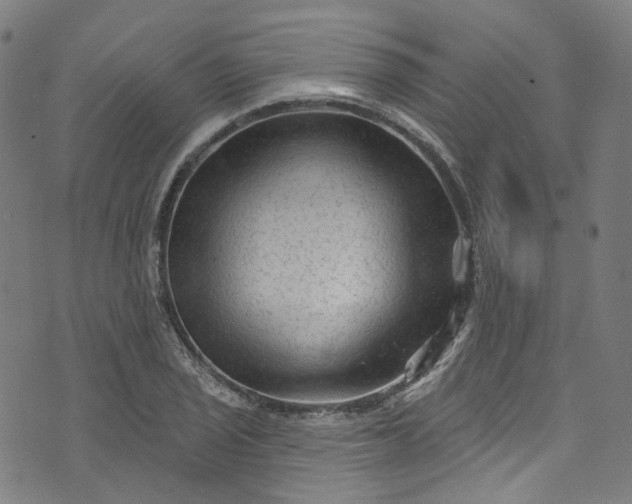 X0000073731029200608171223