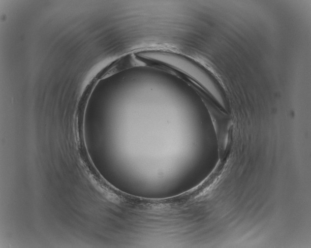 X0000073731030200608171223