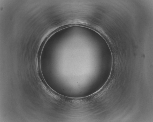 X0000073731032200608171223