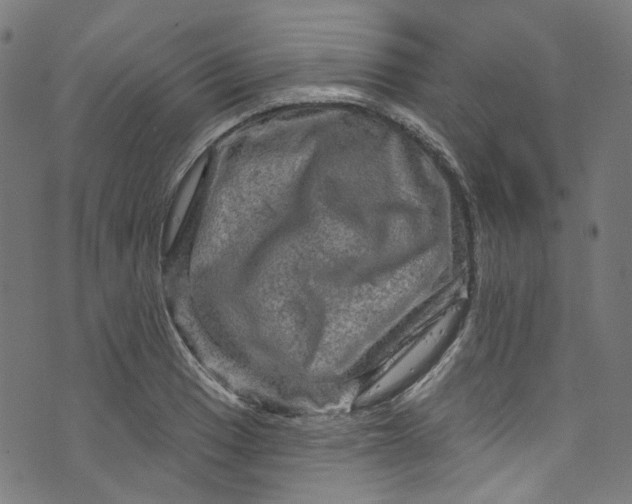 X0000073731033200608171223