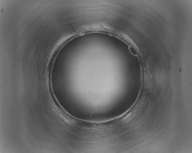 X0000073731035200608171223