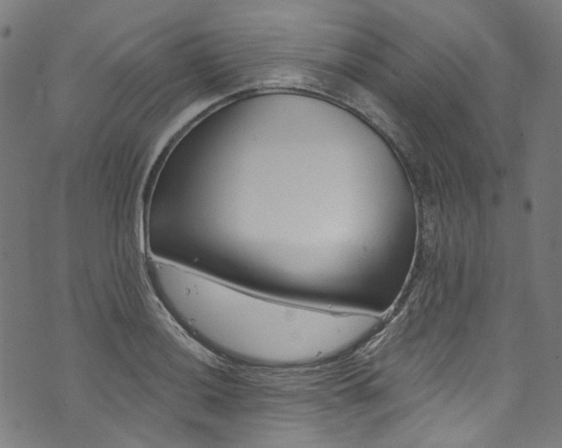 X0000073731036200608171223