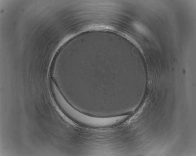 X0000073731037200608171224