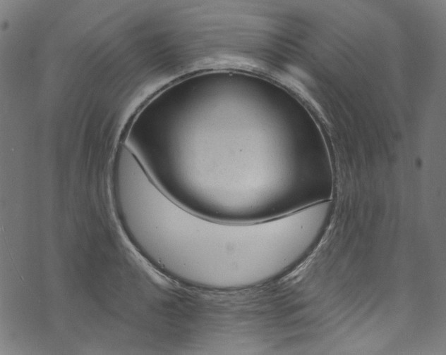 X0000073731040200608171224