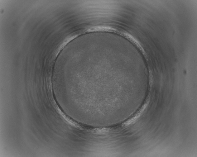 X0000073731041200608171224