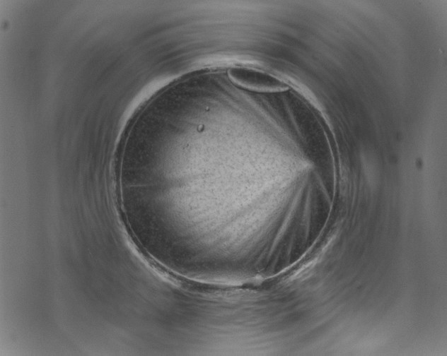 X0000073731045200608171224