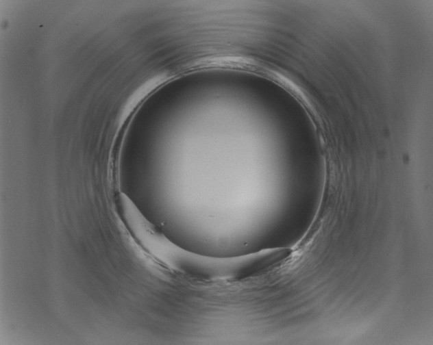 X0000073731050200608171224