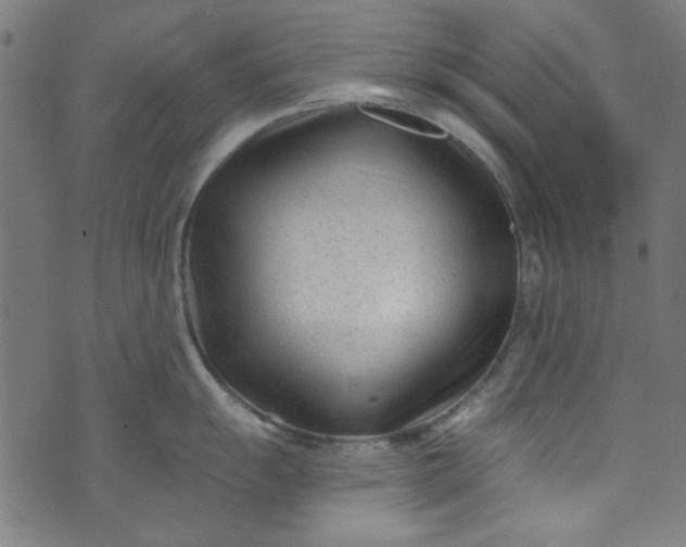 X0000073731055200608171224