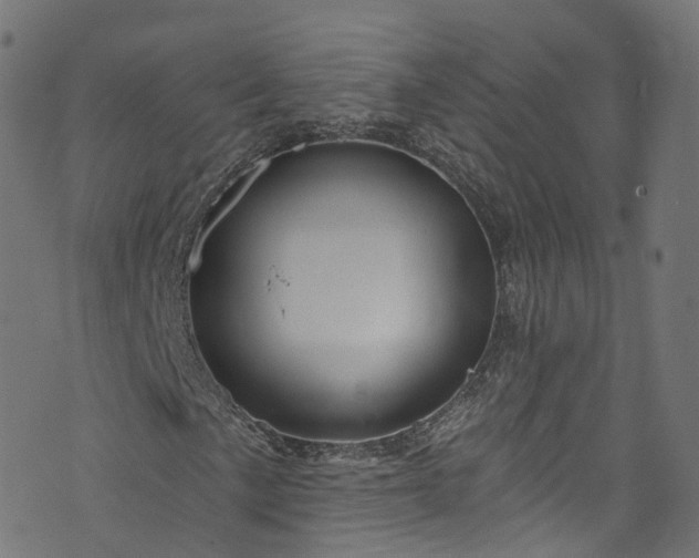 X0000073731057200608171223