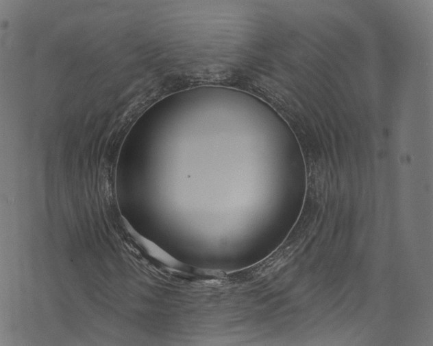 X0000073731058200608171223