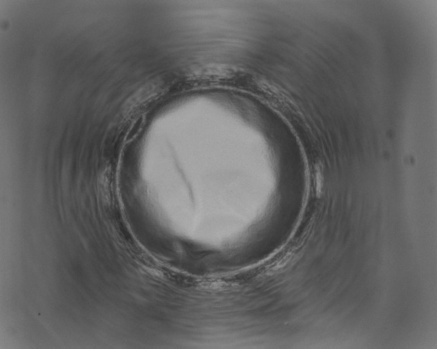 X0000073731059200608171223