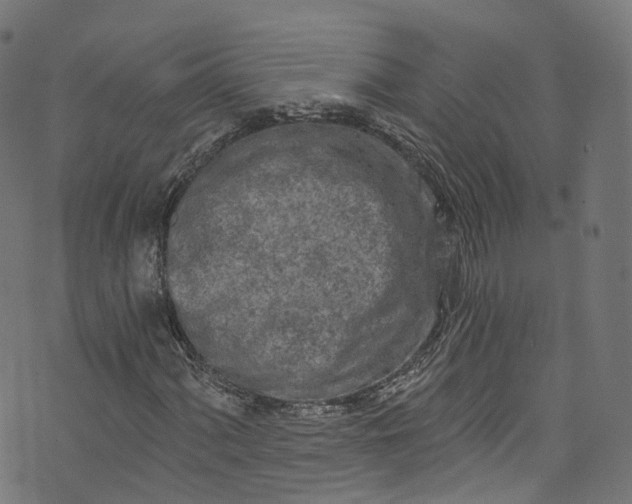 X0000073731060200608171223